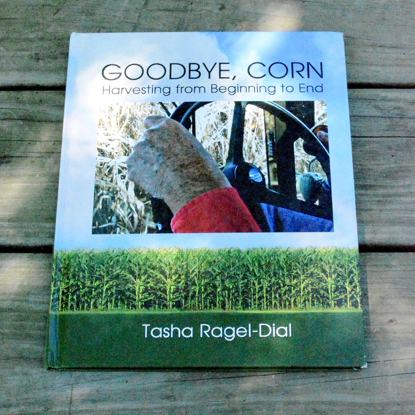 Tasha Ragel-Dial 2014 Book